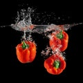 Three red bell peppers falling in water with splash on black background, paprika, stop motion photography Royalty Free Stock Photo